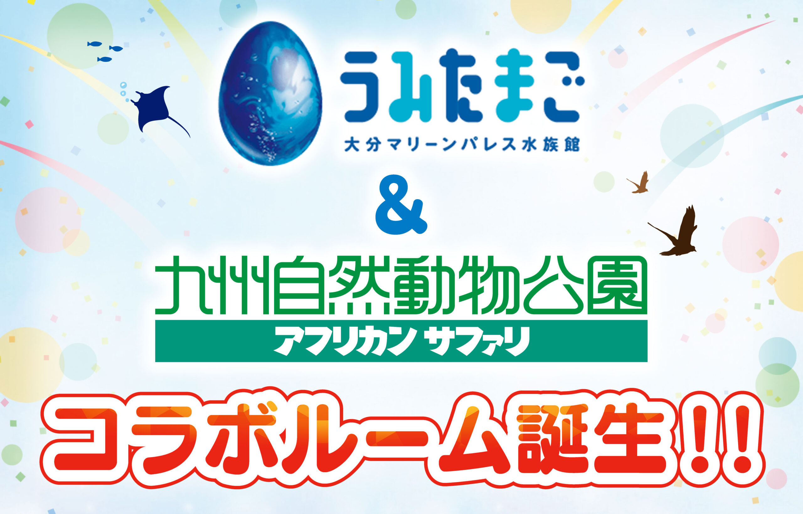 うみたまご・アフリカンサファリとのコラボルーム新登場!